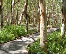 The Kommo Toera Trail