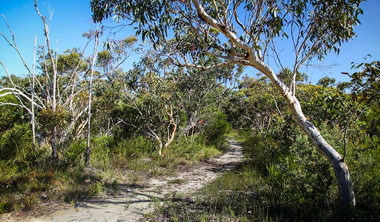 Aboriginal Heritage walk