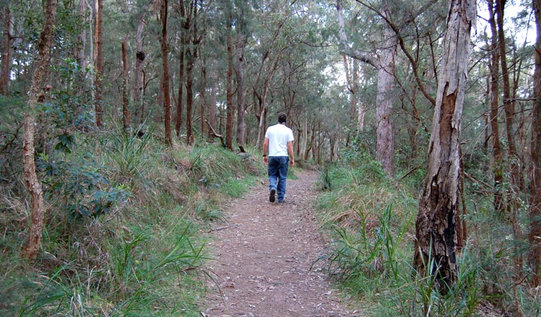 Lake Macquarie State Conservation Area
