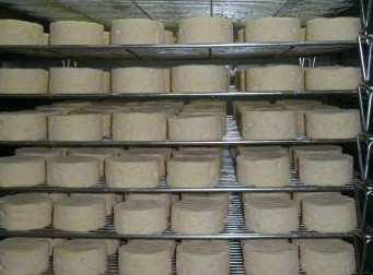 Witches Chase Cheese Co