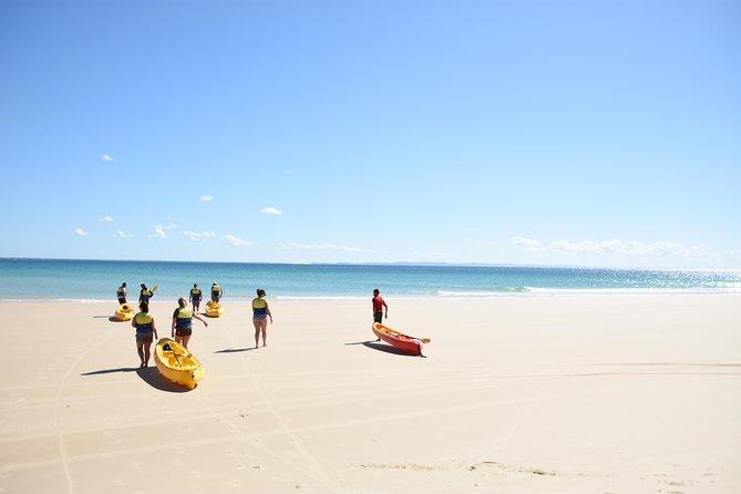 Half-Day Kayak with Dolphins and 4WD Beach Drive from Rainbow Beach