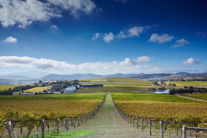 Yarra Valley Wine and Wildlife Self-Driving Tour